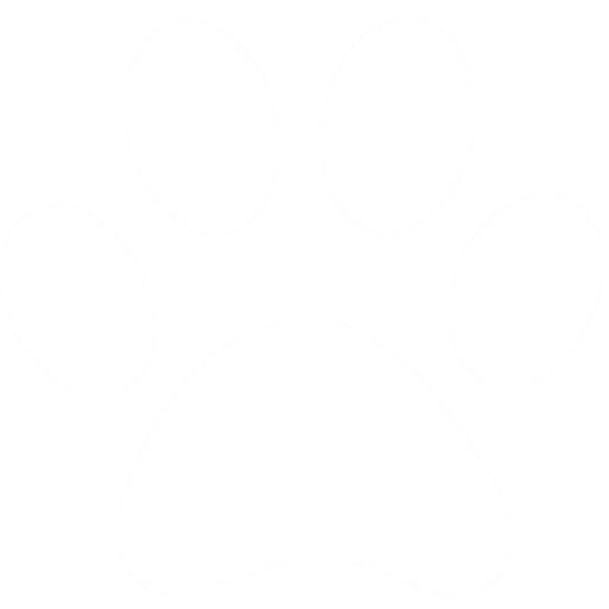 Icon Paw
